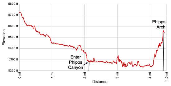 Elevation Profile for Phipps Arch